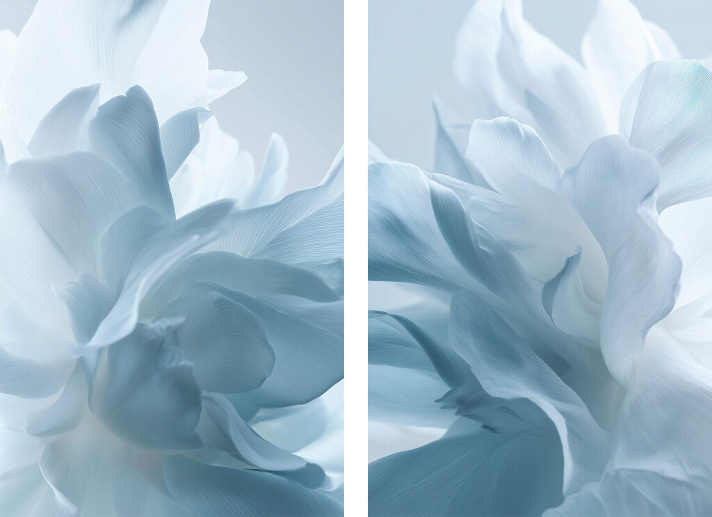 Πέταλα σε ήπιους τόνους — πλήρες σχέδιο