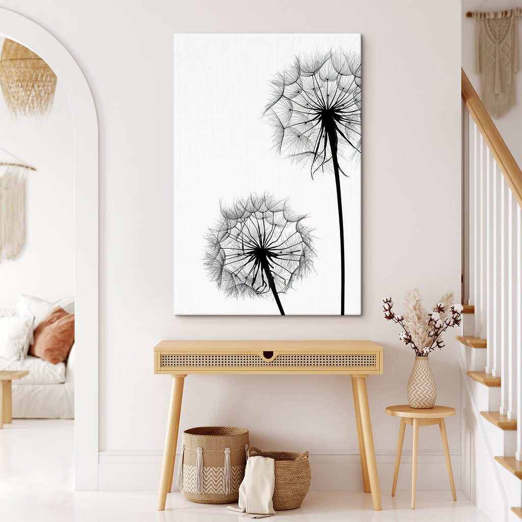 Σπορόμαλλα σε λευκό — εσωτερικός χώρος 2