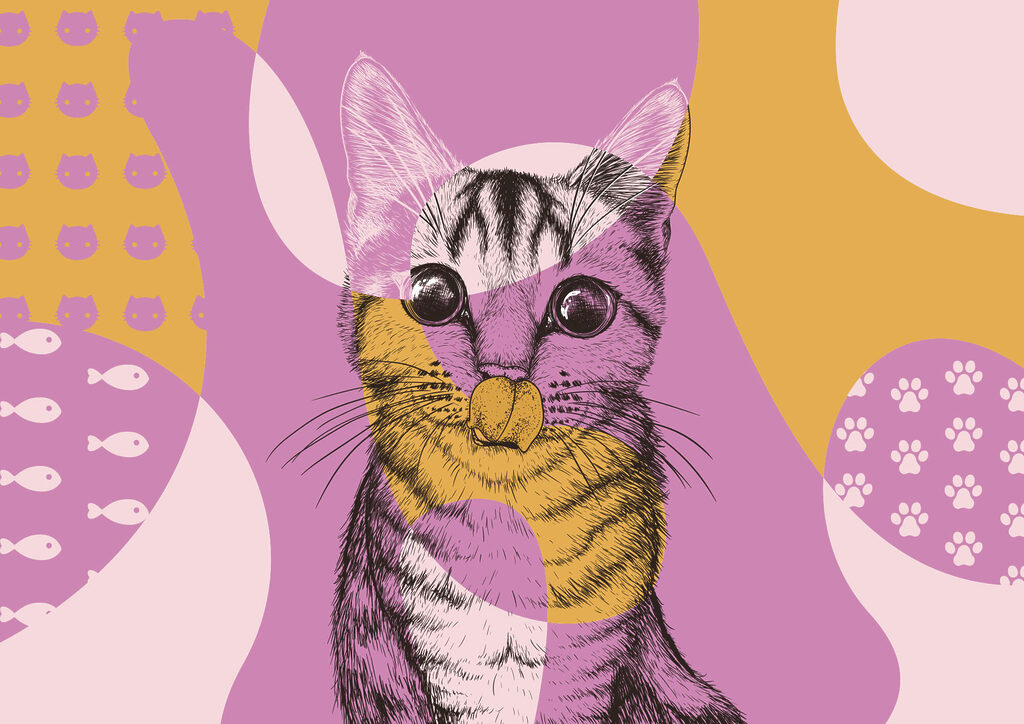 Γάτα σε πολύχρωμα σχήματα — πλήρες σχέδιο