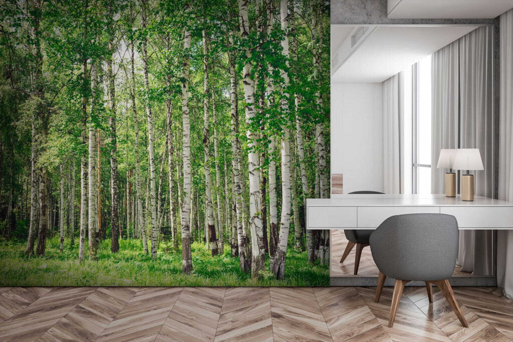 Σημύδες σε πράσινο γρασίδι — εσωτερικός χώρος 2